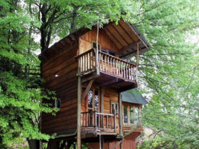  Sycamore Avenue Treehouse Accommodation  Уинди